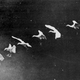Illustration for article titled Chronophotography: The Photos That Revealed The Secrets Of Motion